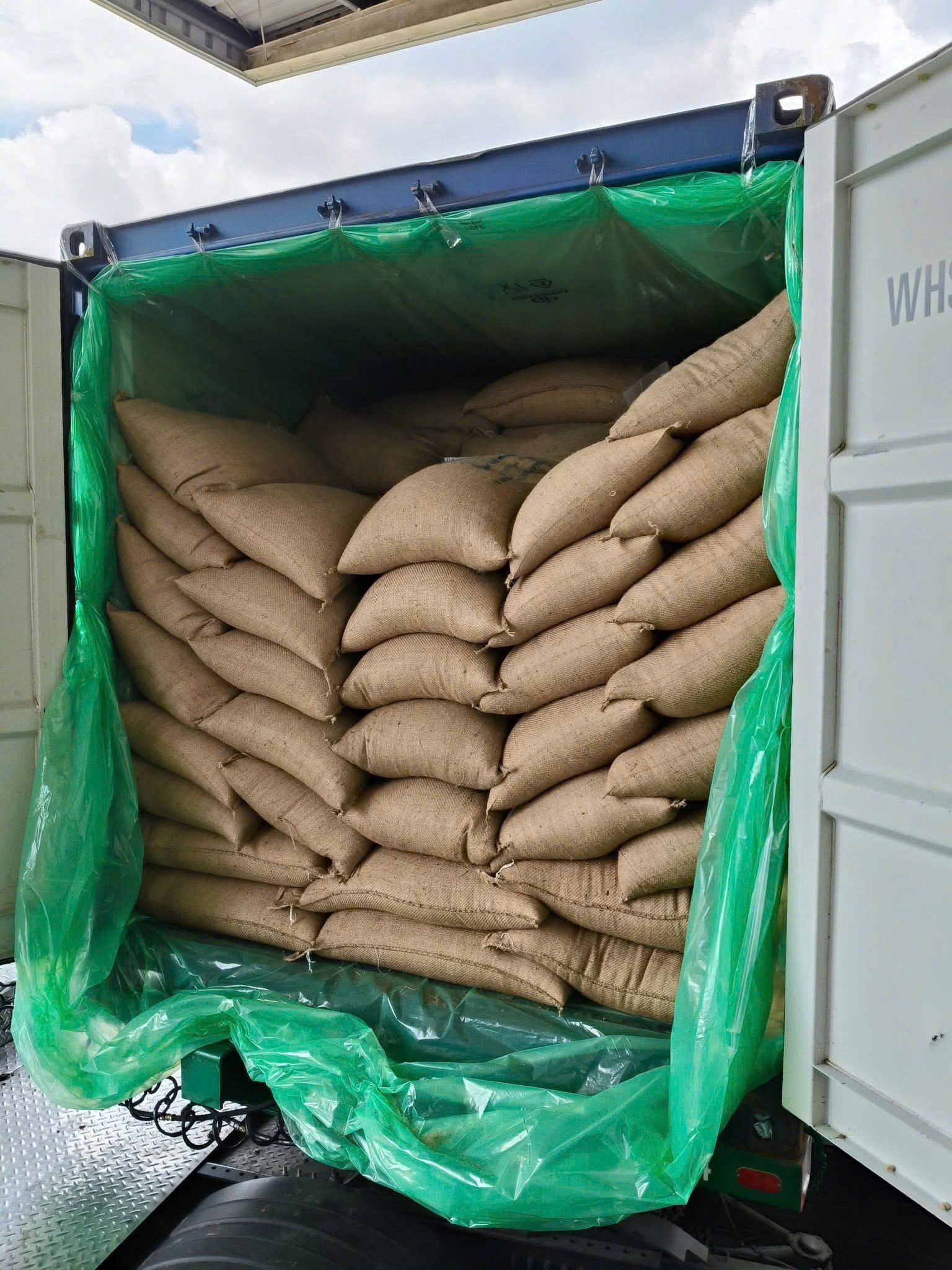 Robusta S18 Clean image 3