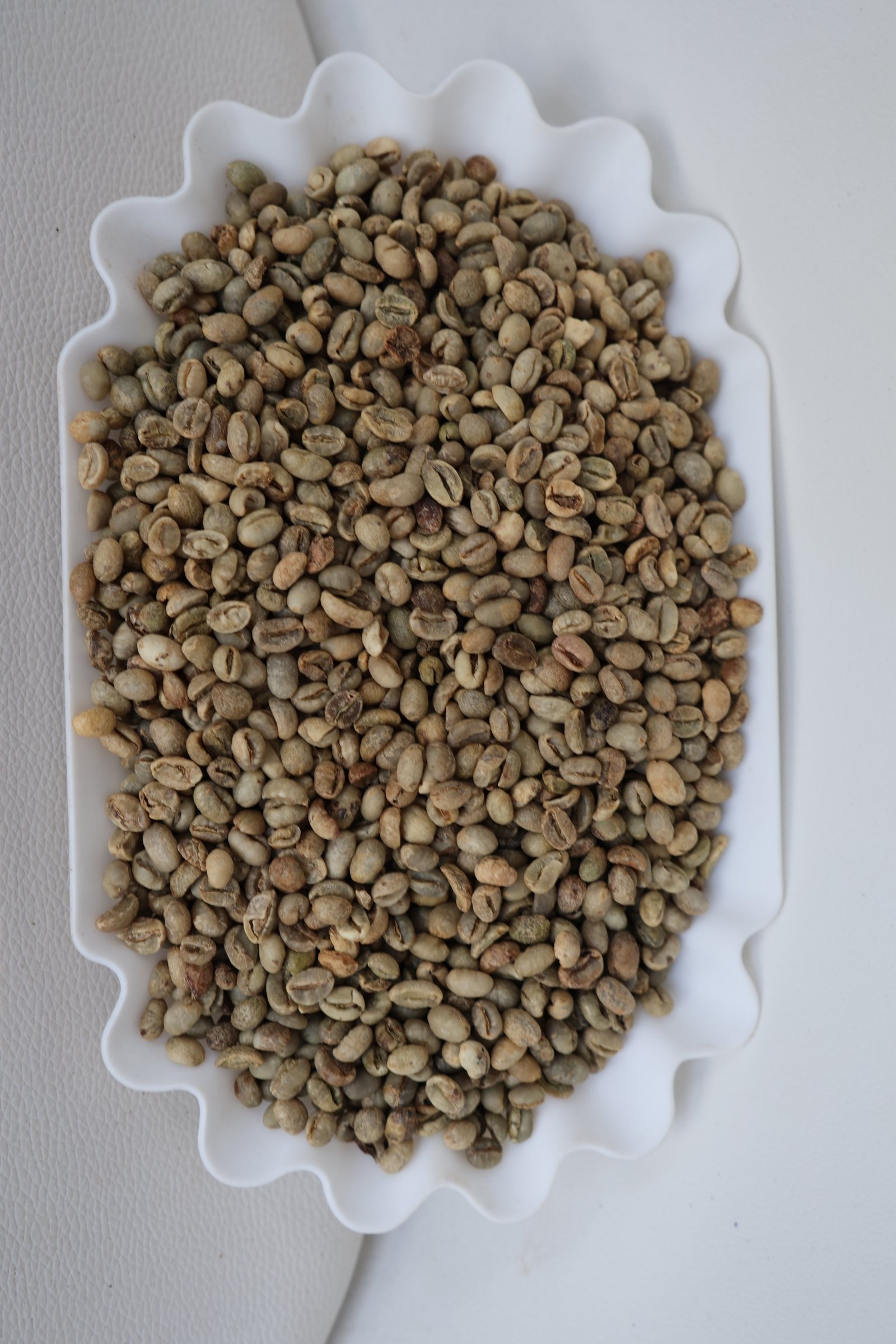 Arabica S13, S14 image 2