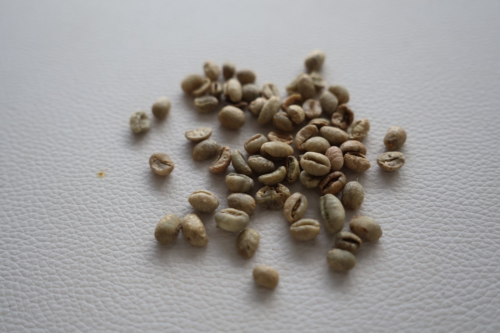 Arabica S13, S14 image 3