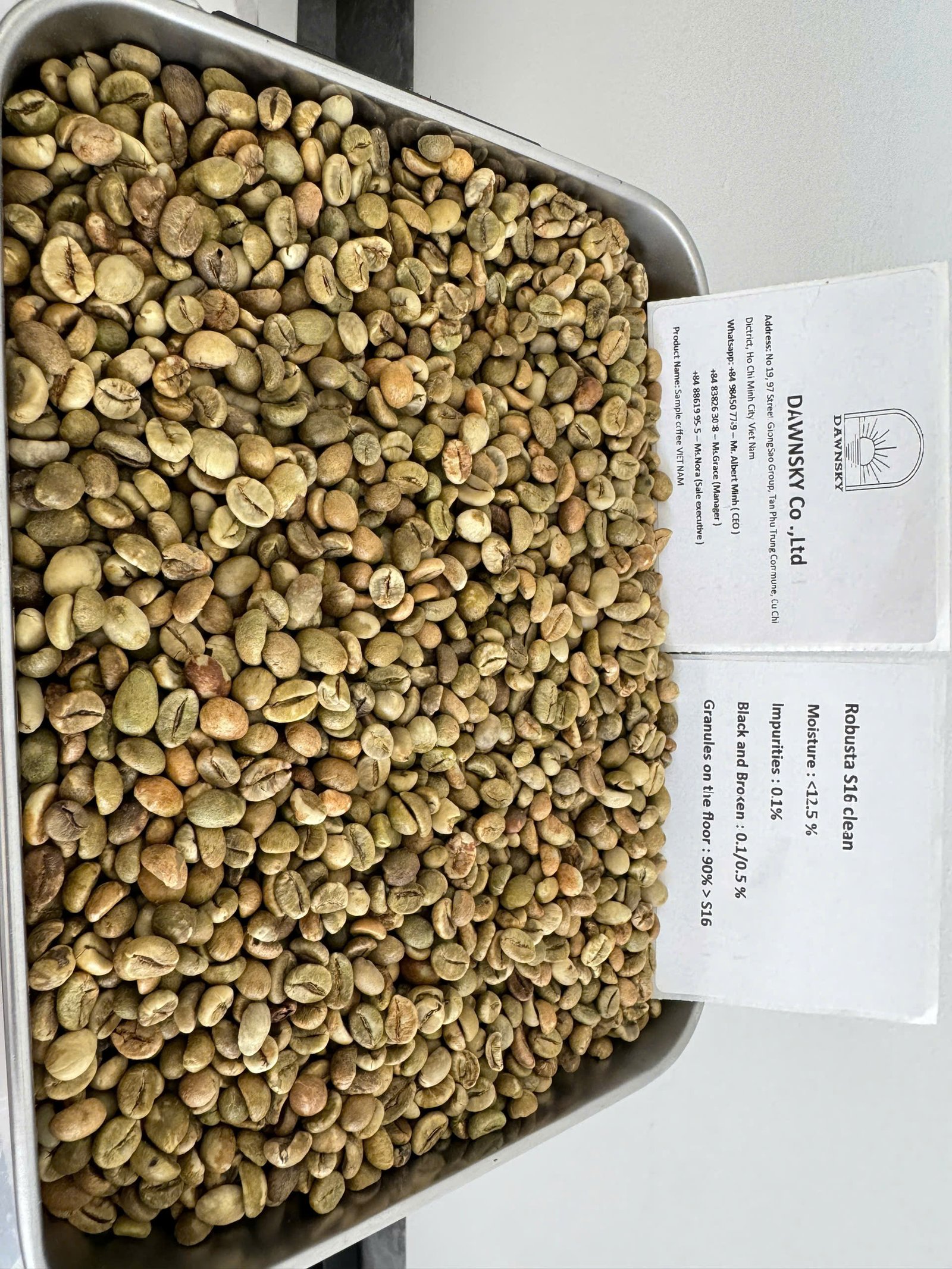 Arabica Coffee Beans Export Vietnam