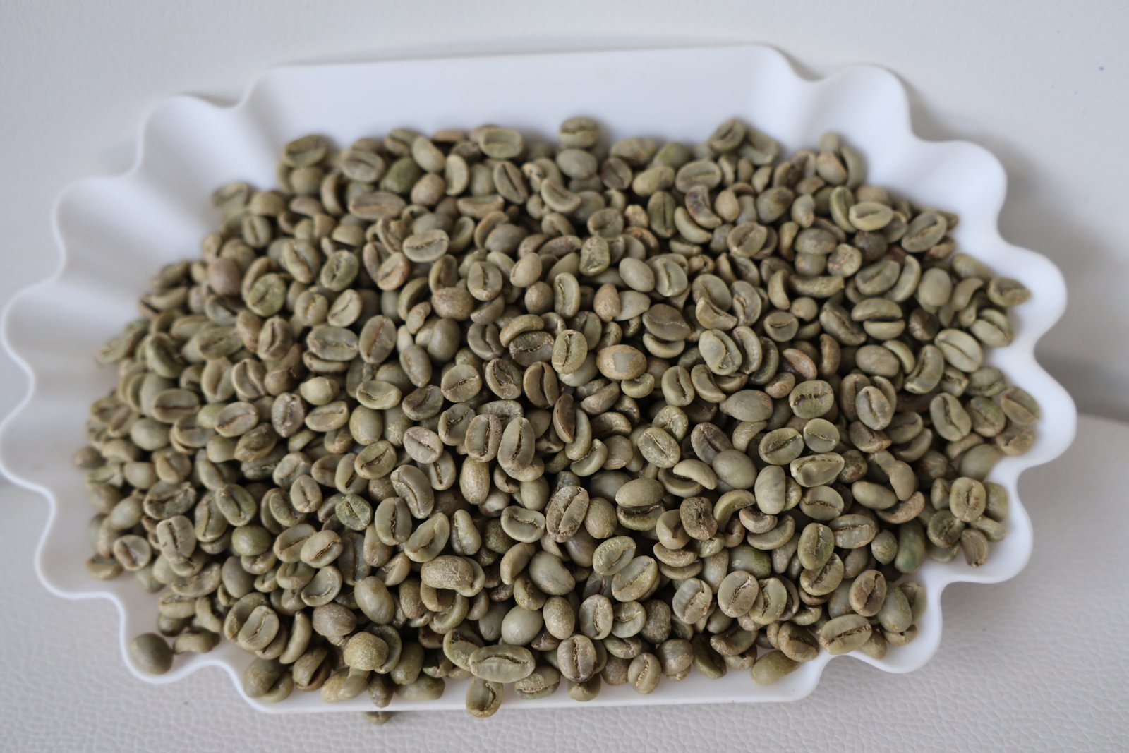 Arabica S16 Clean image 2