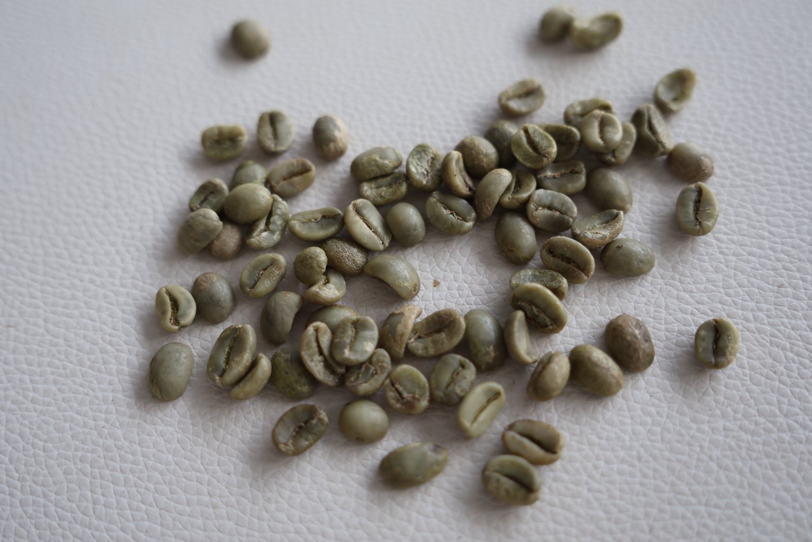 Arabica S16 Clean image 3