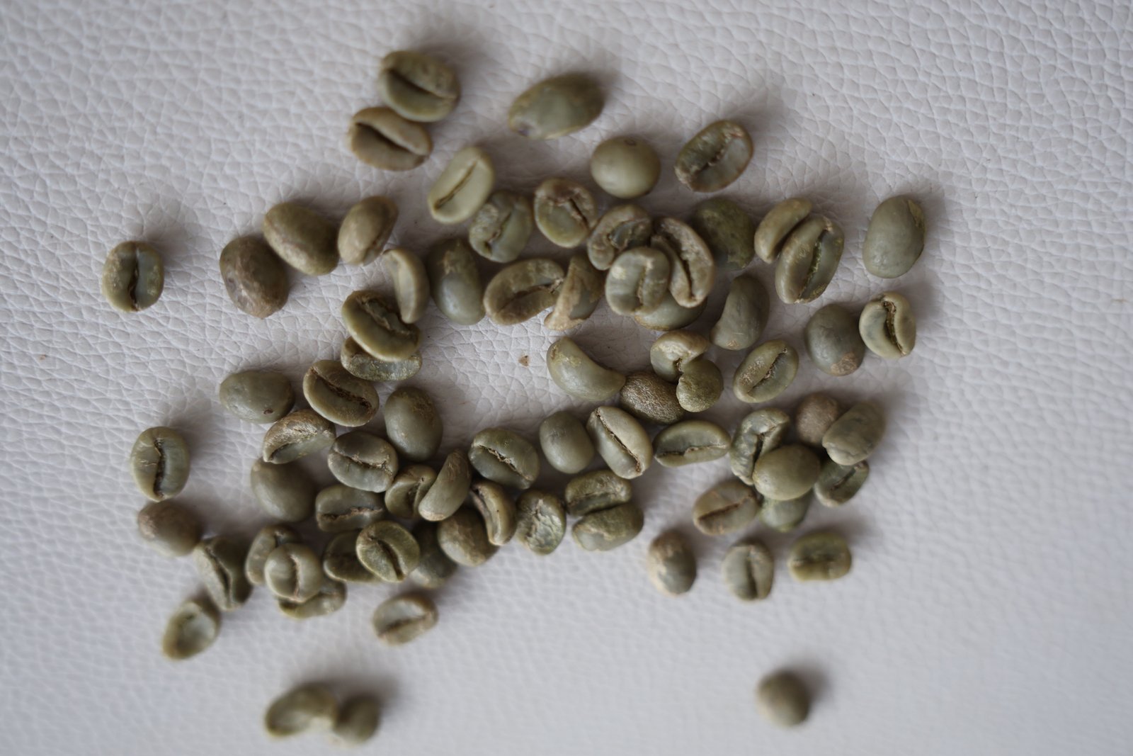 Arabica S18 Clean image 3