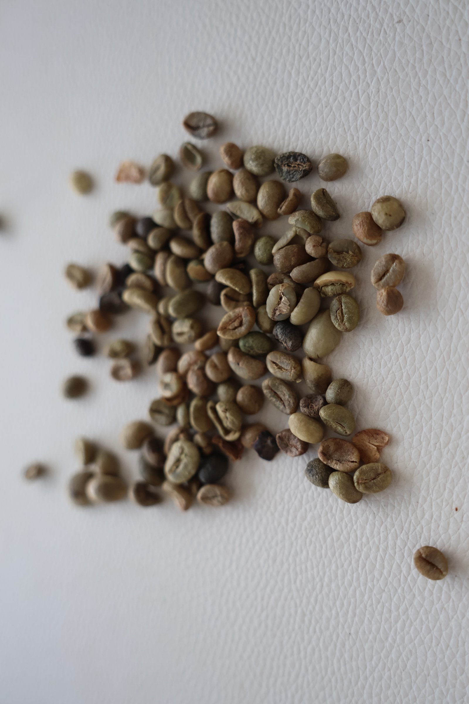 G2 Robusta S13,S14 image 3