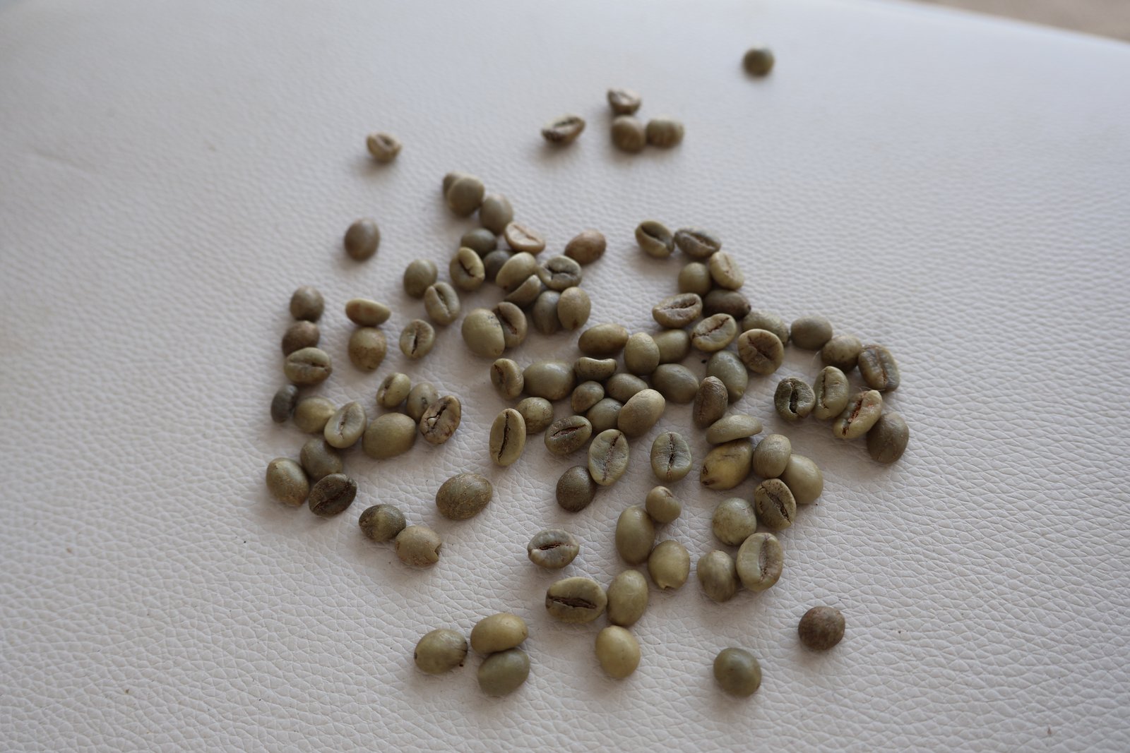 Robusta S13-14 image 2