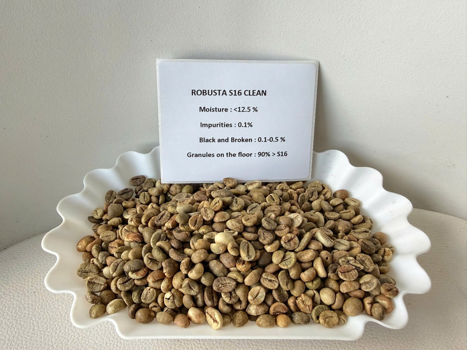 Robusta S16 Clean