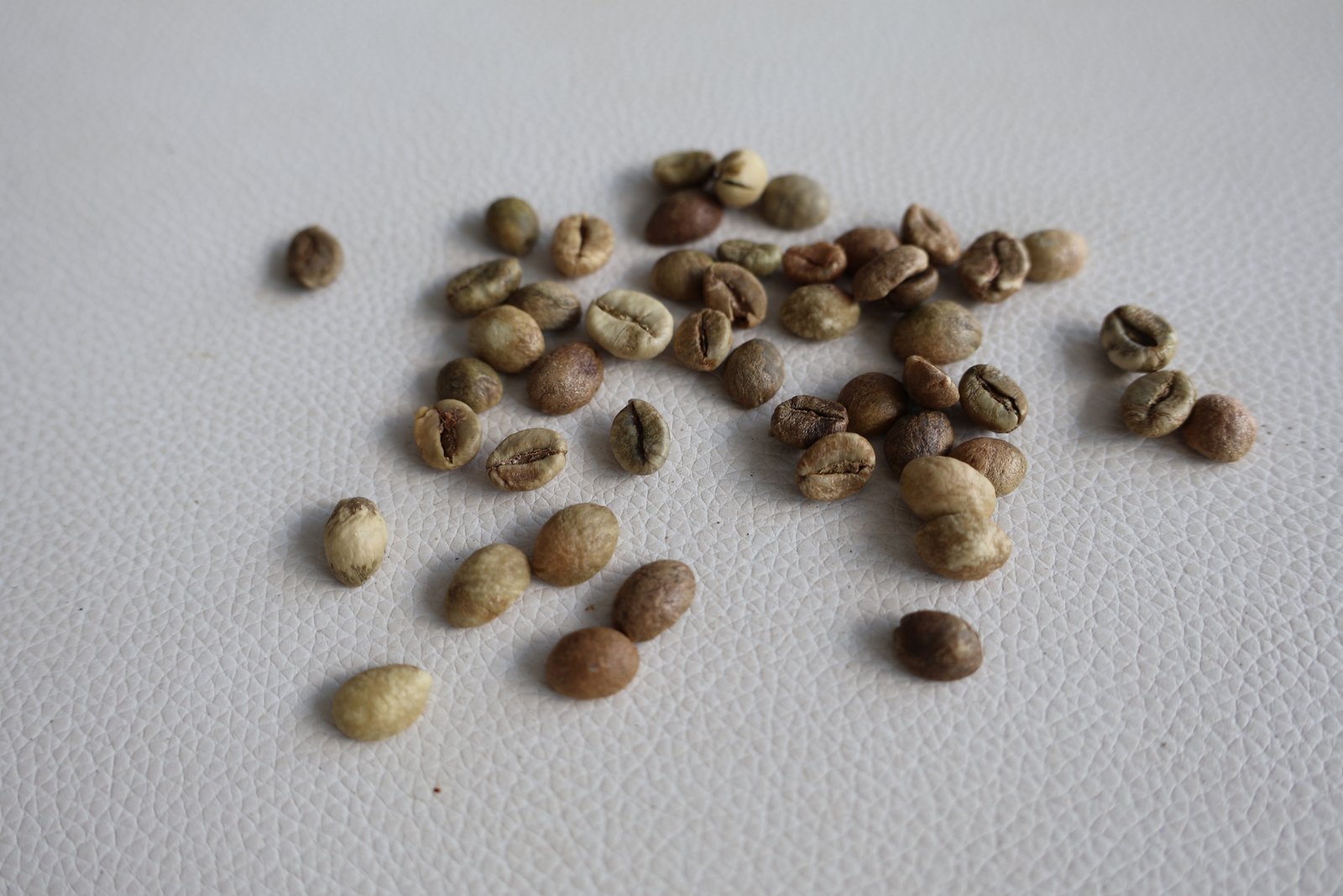 Robusta S18 Clean image 2