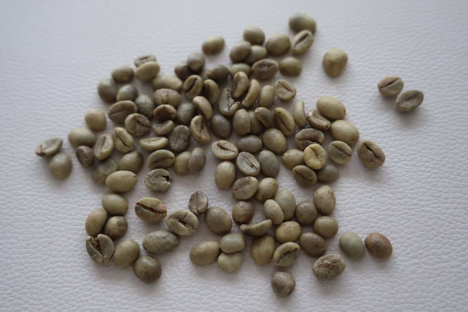 Robusta S16 Wet Polished image 3