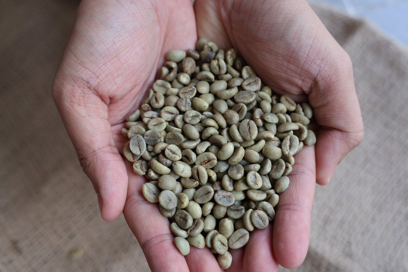 Robusta S16 Wet Polished image 4