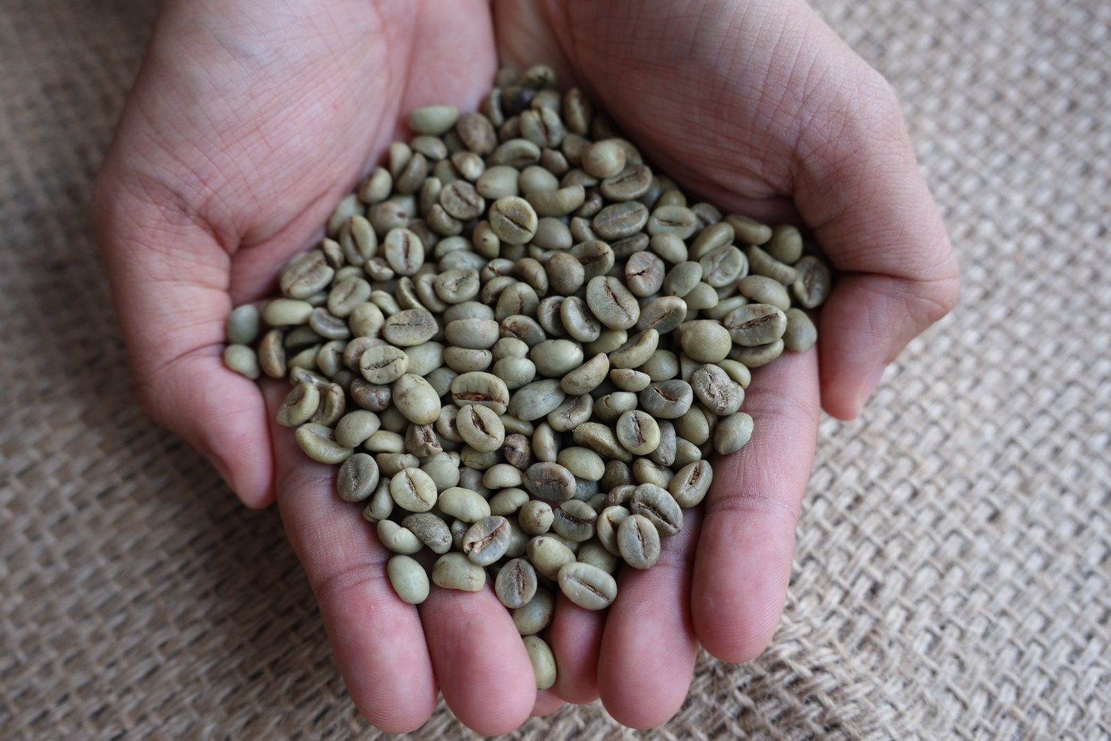 Robusta S18 Wet Polished image 5